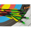 Стрела лучная фибергласс Centershot Spark 500, Parabolic 3"